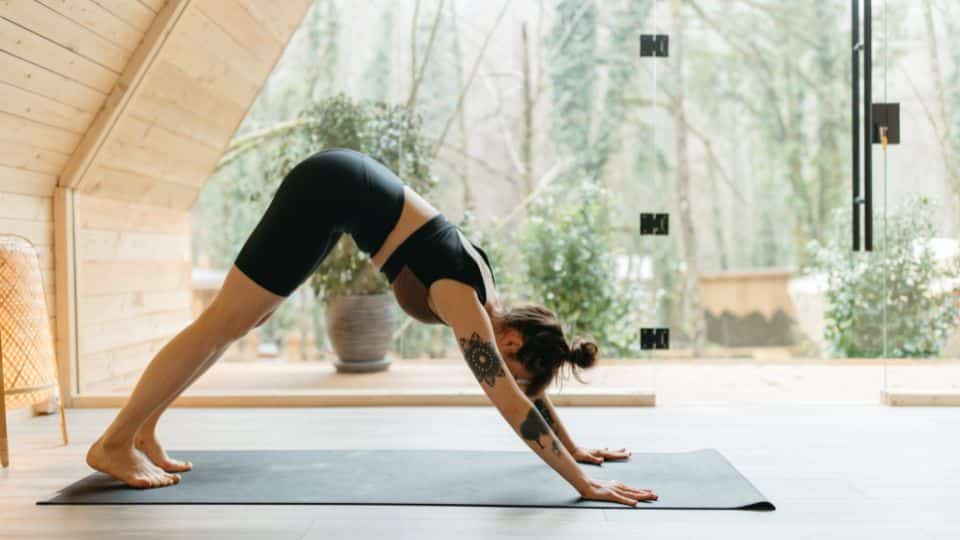 הכירו את אתר הרמוסה להלבשה תחתונה